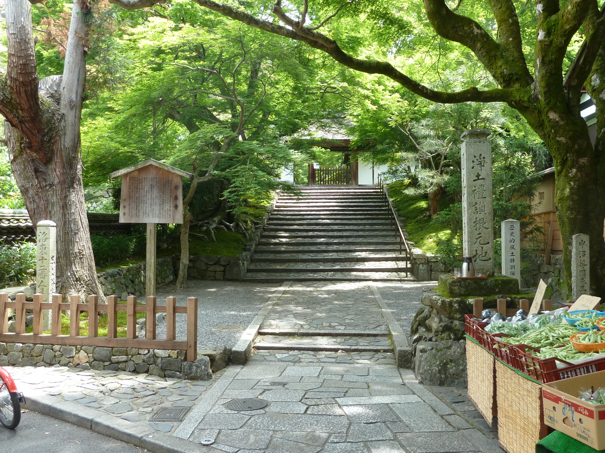 鈴虫 寺 自転車